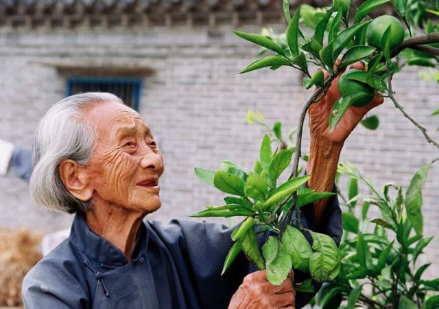 長(zhǎng)壽的人有哪些特點(diǎn)？年紀(jì)大了如何養(yǎng)生？
